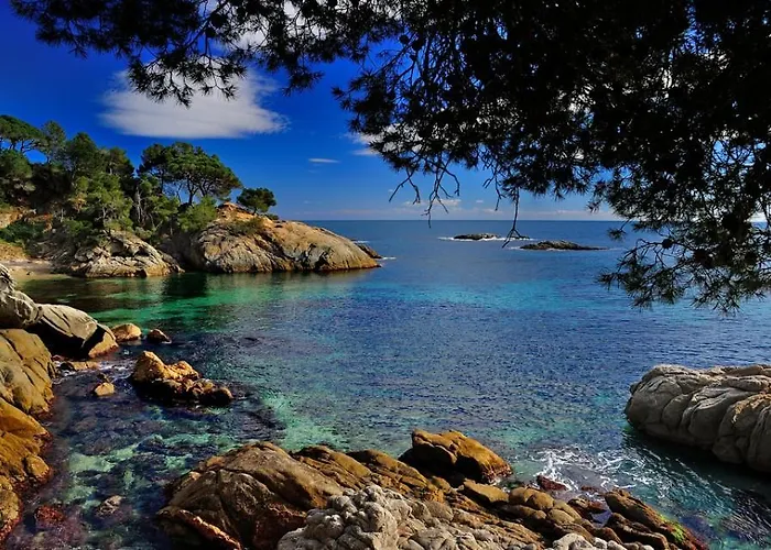 Sun D'aro Apartman Platja d'Aro